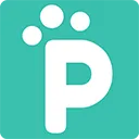Pawket