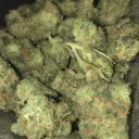 Tapatio v24.1 (FREE85$MENU) (CROWN K)