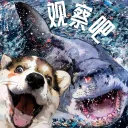 观察吧 Observe Bar discord icon