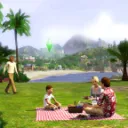 simmunity