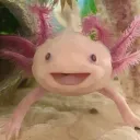 The Axolotl server