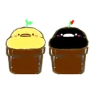 はなひよこ鯖