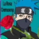 🌹La Rosa Cremasona🌹