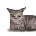 CatFounded's icon