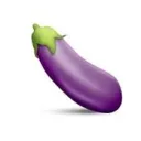 Small Eggplants (SEG)
