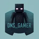 DNS_GAMER