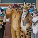 A furry community