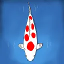 Koi-Lab