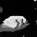 Twisted World // FantasyRP