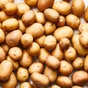 Potato Legion