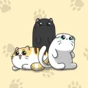 HSR cat