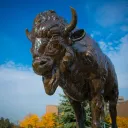 UB SEAS Graduate Student Community