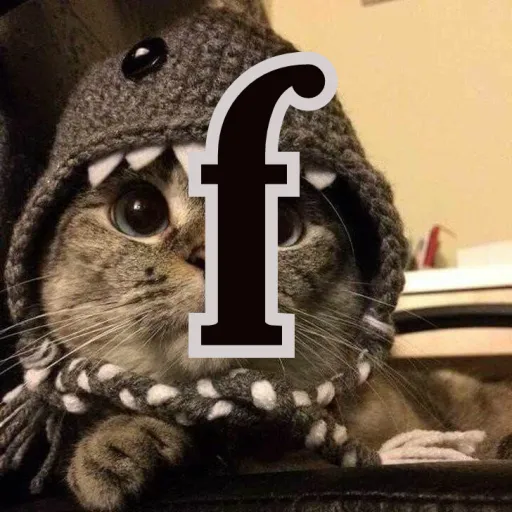 ff — мониторинг Discord сервера, статистика и рейтинг