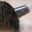 𝐌𝐢𝐧𝐝𝐮𝐬𝐭𝐫𝐲 𝐓𝐨𝐮𝐫𝐧𝐚𝐦𝐞𝐧𝐭 𝐎𝐫𝐠𝐚𝐧𝐢𝐬𝐚𝐭𝐢𝐨𝐧