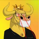 MUFF BULL
