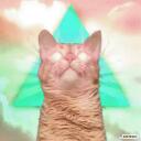 Loża Trejderów Discord Server Icon