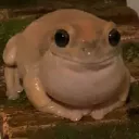 Happy's Fanfics