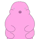 Inmortal Tardigrades