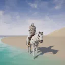 Riding System