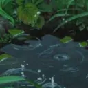 The Pond's icon