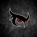 NightOwl Esports