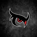 NightOwl Esports
