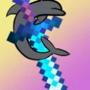 DolFin's server