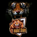 🐯 Tigers Claw 🐅