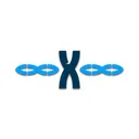 INFINITE X'S