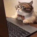 TheSubtitleRoom