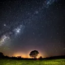 星空の下の草原