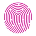 Pink Stone Group