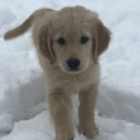 friendly discord server