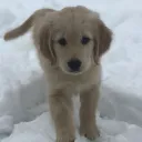 friendly discord server