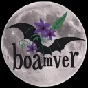 La cueva de boamver
