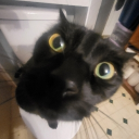 What The Fuck Is This Discord server icon