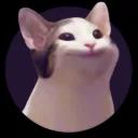 𝐁𝐨𝐱 𝐨𝐟 𝐂𝐚𝐭𝐬