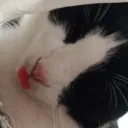 ✨'-'✨