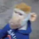 Ini orekel