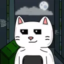 Handsome Cats