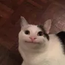yuuri_17's server