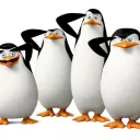 House pinguins de madagascar