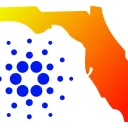 THE CARDANO SOLUTION's server