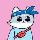 Cool Fox Gang