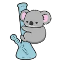 Koalaty Times