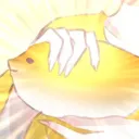 浴缸教