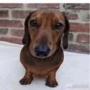 Clean Discord Server Icon