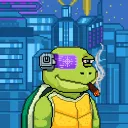 Teenage meta turtlez