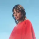 TINI Fan Server
