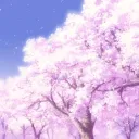 🌸𝘣𝘭𝘰𝘴𝘴𝘰𝘮𝘵𝘳𝘦𝘦🌸